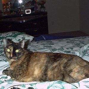 Meet your Posher, Valerie